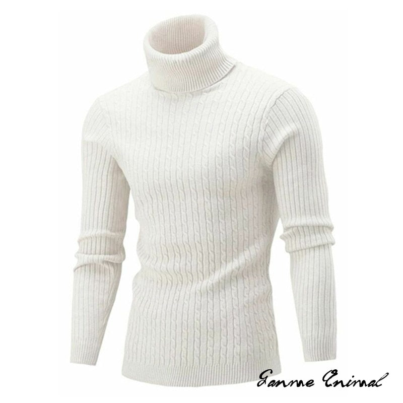 S-XXL Turtleneck Sweater - 9 colours